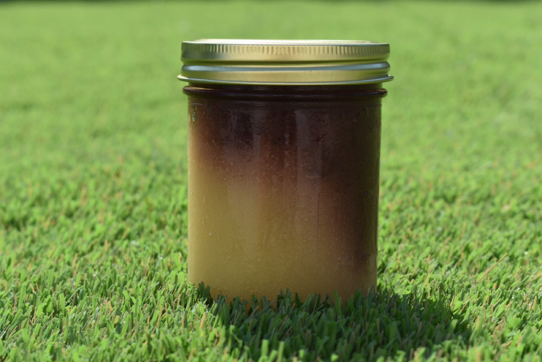 Blueberry Strawberry